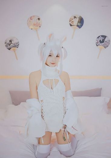 后宫露营免费
