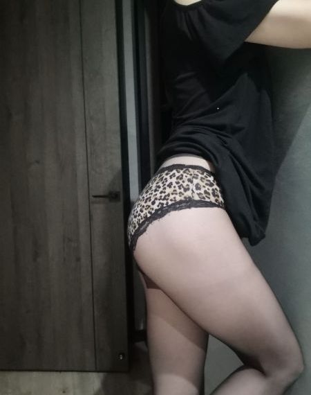 浮图缘电视剧免费观看全集高清