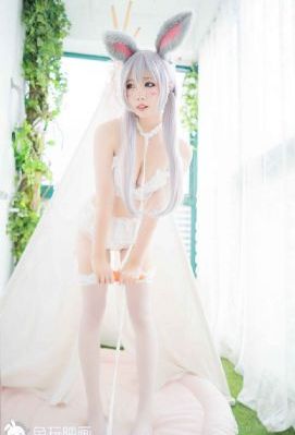 无证之罪 电视剧