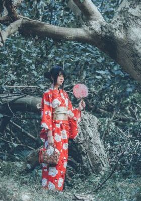 铁齿铜牙纪晓岚全集完整版